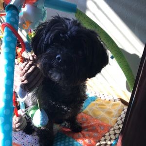 Meet your Posher, Laura